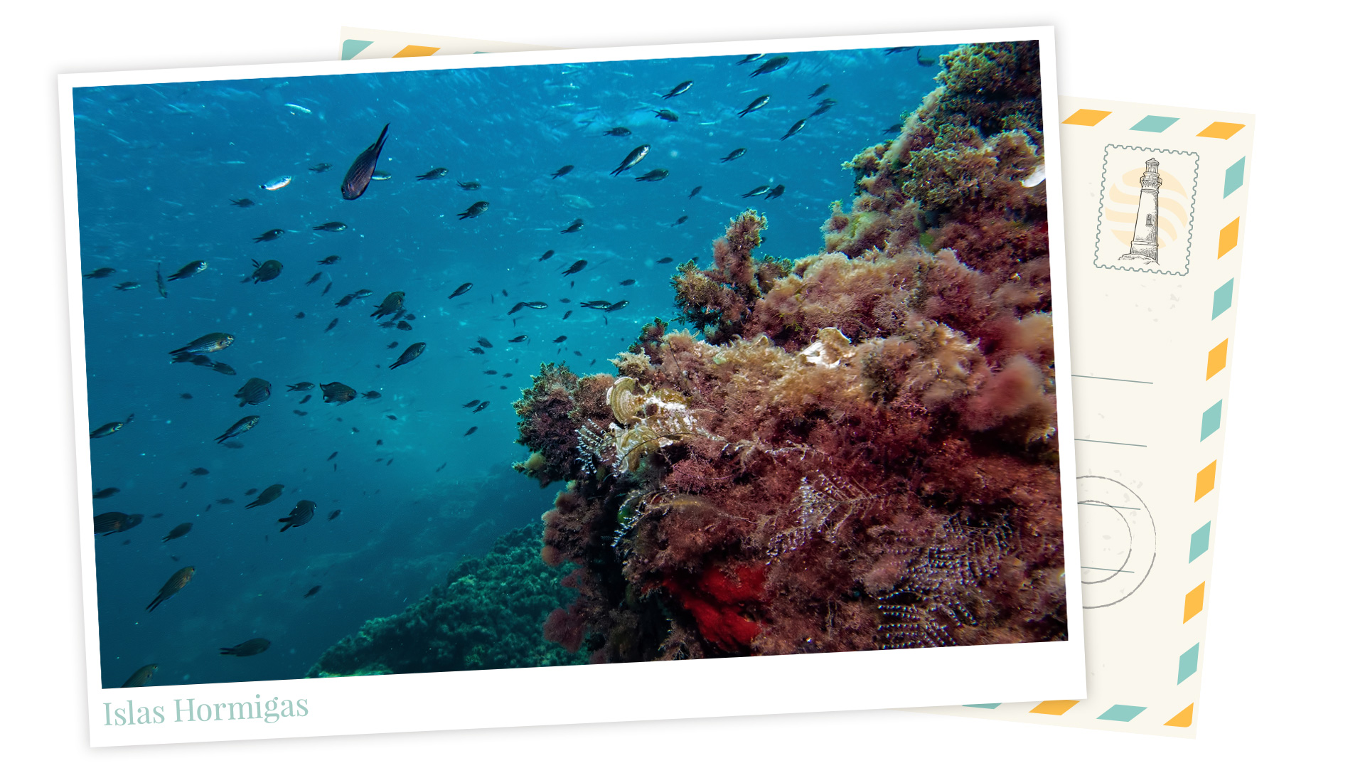 cab-islas-hormigas